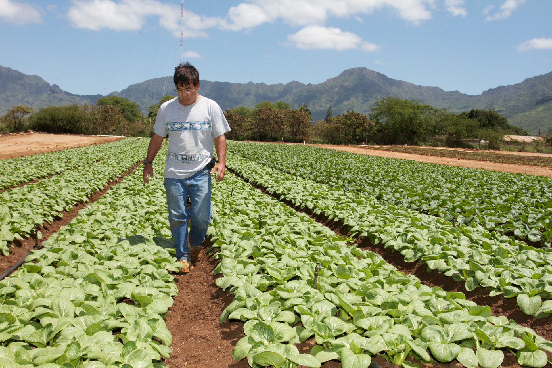 farm-produce.jpg