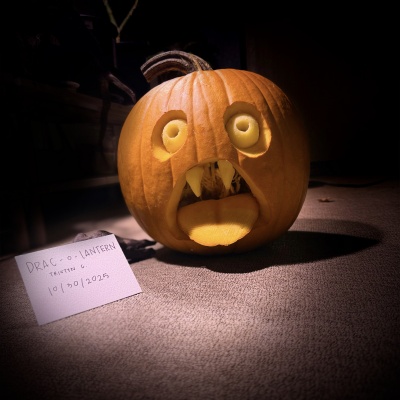 DQ Pumpkin Contest Entries | Don Quijote Hawaii